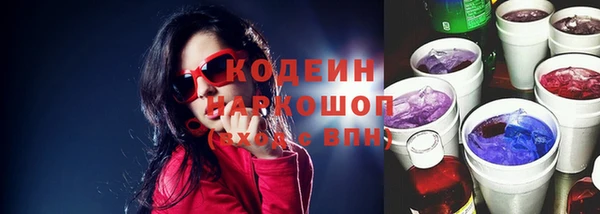 ГАЛЛЮЦИНОГЕННЫЕ ГРИБЫ Арсеньев