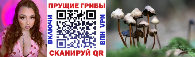 Псилоцибиновые грибы мицелий  Белёв 